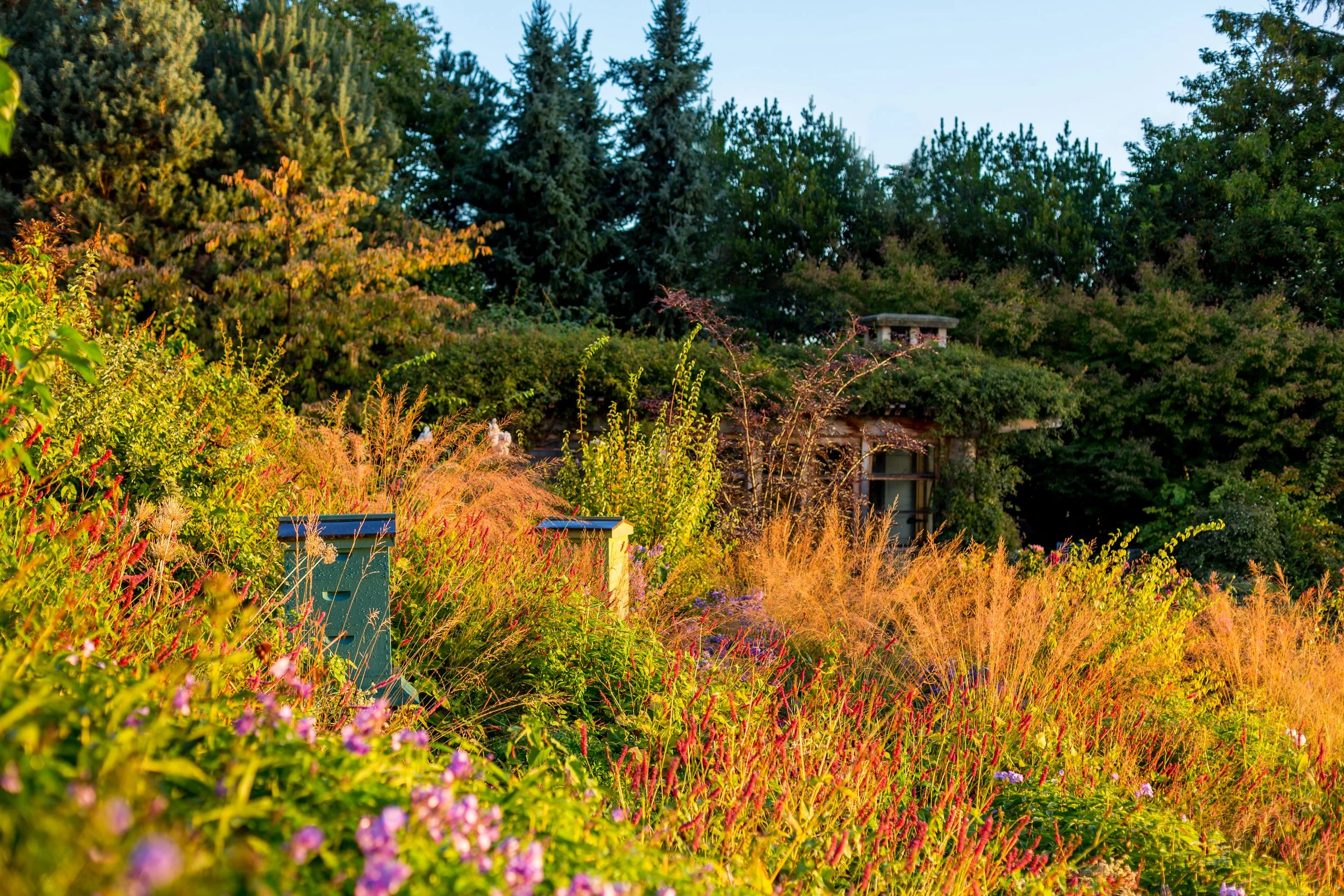 Traditional Residential Landscape Design — Land Morphology